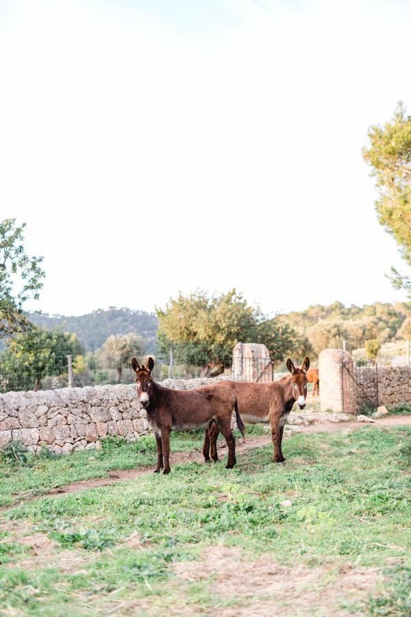 Finca Es Cabas Санта-Мария-дель-Ками Экстерьер фото