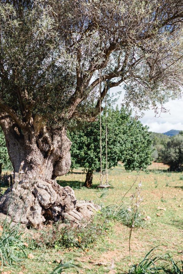 Finca Es Cabas Санта-Мария-дель-Ками Экстерьер фото