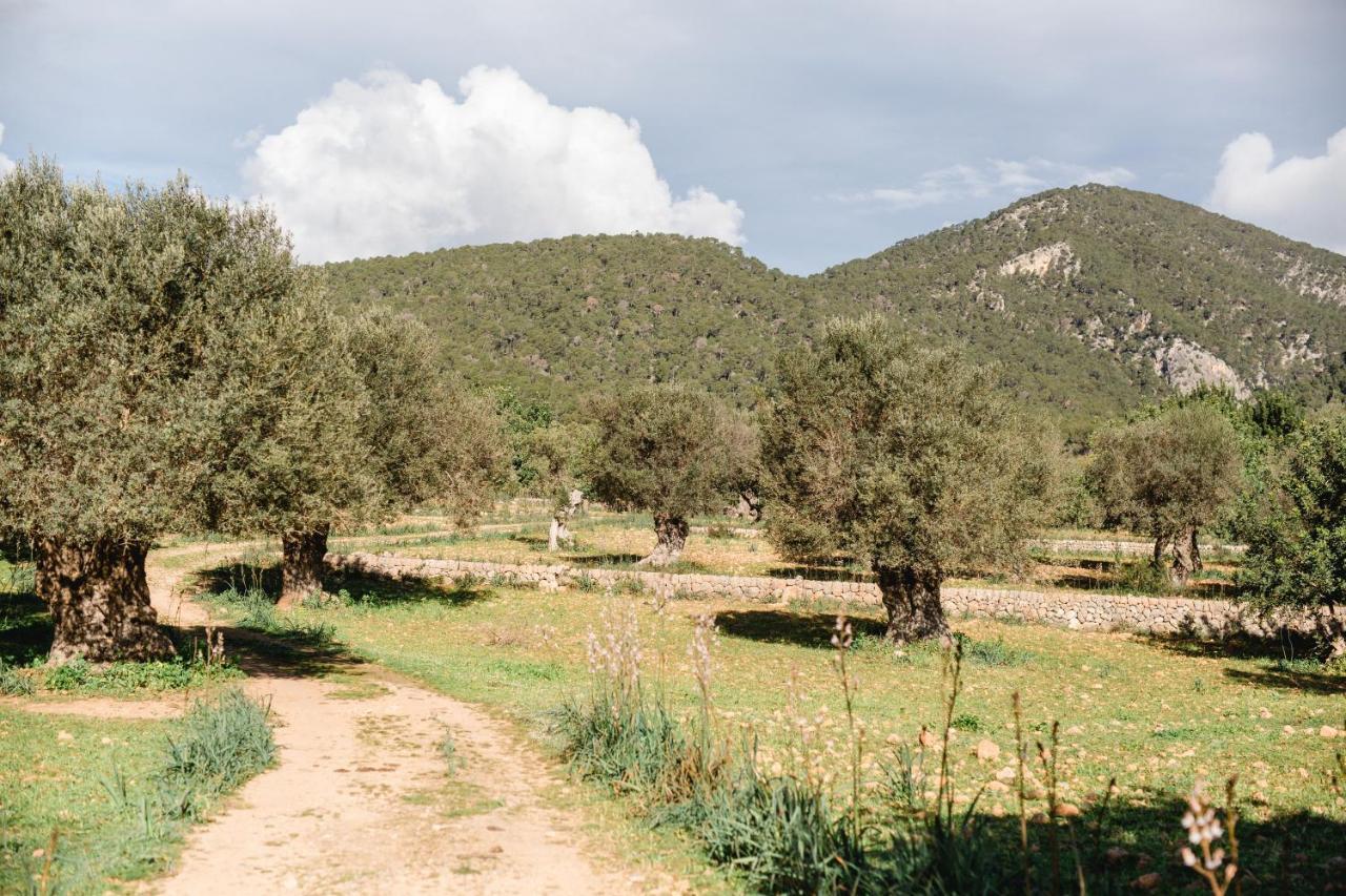 Finca Es Cabas Санта-Мария-дель-Ками Экстерьер фото
